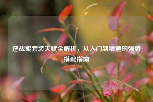 逆战鲲套装天赋全解析,从入门到精通的强势搭配指南