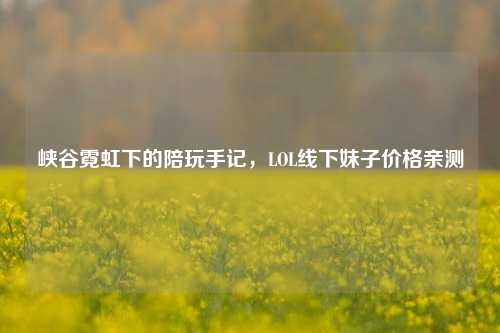 峡谷霓虹下的陪玩手记,LOL线下妹子价格亲测