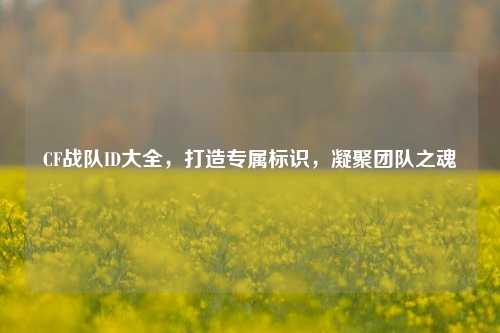 CF战队ID大全,打造专属标识,凝聚团队之魂