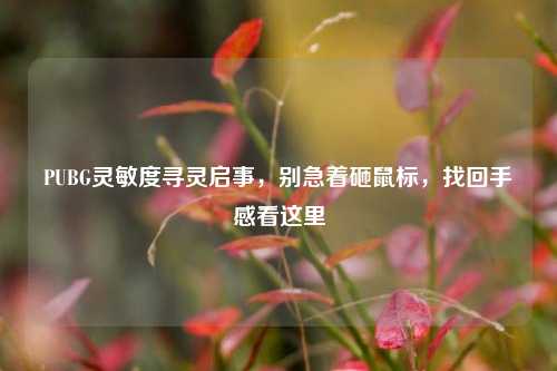 PUBG灵敏度寻灵启事,别急着砸鼠标,找回手感看这里