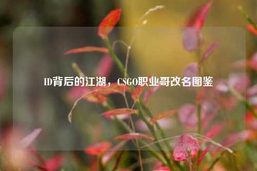 ID背后的江湖,CSGO职业哥改名图鉴