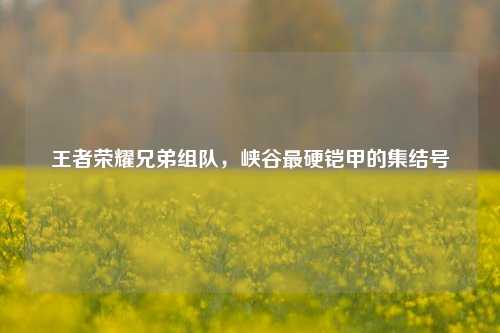 王者荣耀兄弟组队,峡谷最硬铠甲的集结号