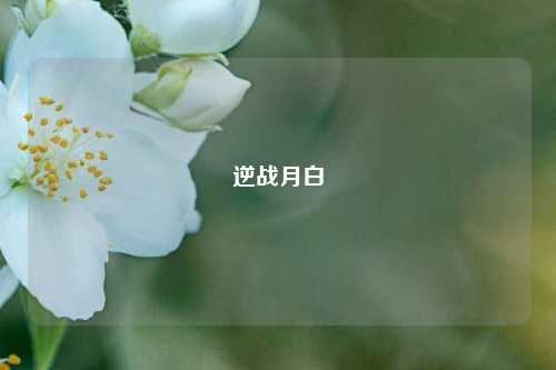 逆战月白