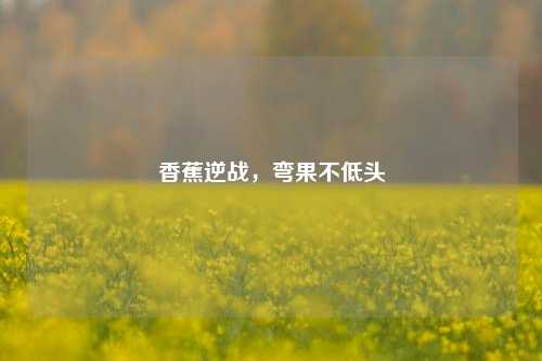 香蕉逆战,弯果不低头