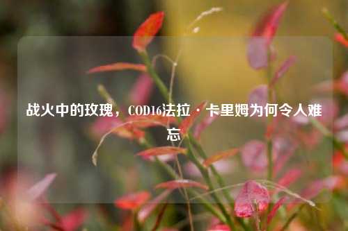 战火中的玫瑰,COD16法拉·卡里姆为何令人难忘