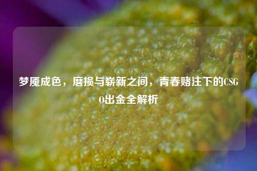 梦魇成色,磨损与崭新之间,青春赌注下的CSGO出金全解析