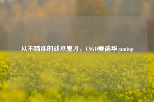 从不瞄准的战术鬼才,CSGO爱德华gaming