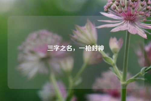 三字之名,一枪封神
