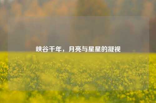 峡谷千年,月亮与星星的凝视
