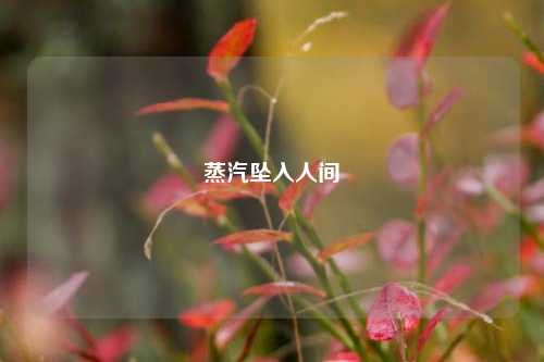 蒸汽坠入人间
