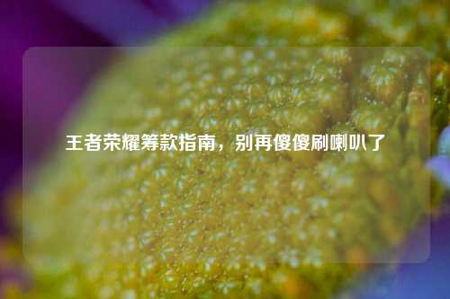 王者荣耀筹款指南,别再傻傻刷喇叭了