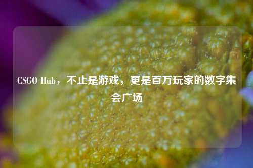 CSGO Hub,不止是游戏,更是百万玩家的数字集会广场