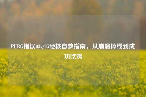PUBG错误03x/25硬核自救指南,从崩溃掉线到成功吃鸡