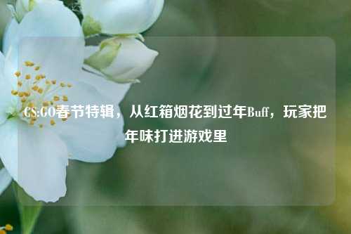 CS:GO春节特辑,从红箱烟花到过年Buff,玩家把年味打进游戏里