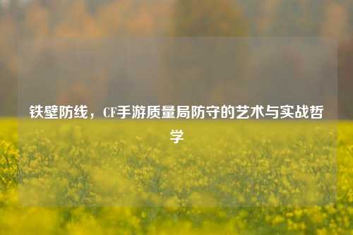 铁壁防线,CF手游质量局防守的艺术与实战哲学