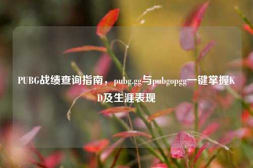 PUBG战绩查询指南,pubg.gg与pubgopgg一键掌握KD及生涯表现