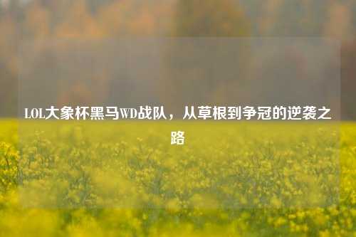 LOL大象杯黑马WD战队,从草根到争冠的逆袭之路