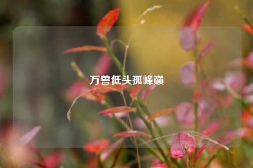 万兽低头孤峰巅