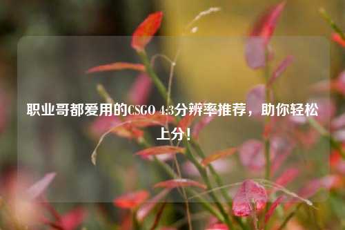 职业哥都爱用的CSGO 4:3分辨率推荐,助你轻松上分!