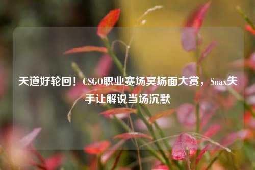 天道好轮回!CSGO职业赛场冥场面大赏,Snax失手让解说当场沉默