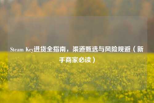 Steam Key进货全指南,渠道甄选与风险规避(新手商家必读)