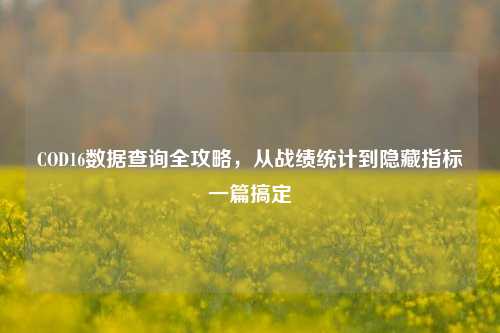 COD16数据查询全攻略,从战绩统计到隐藏指标一篇搞定