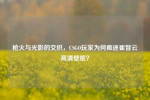 枪火与光影的交织,CSGO玩家为何痴迷崔智云高清壁纸?