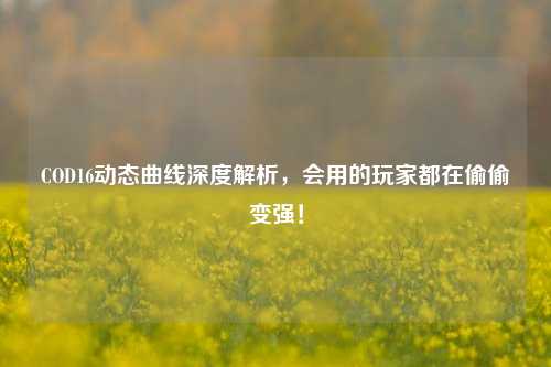 COD16动态曲线深度解析,会用的玩家都在偷偷变强!