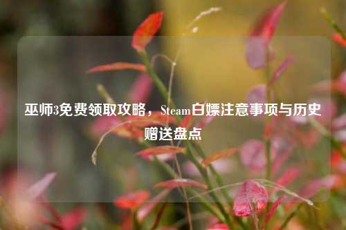 巫师3免费领取攻略,Steam白嫖注意事项与历史赠送盘点