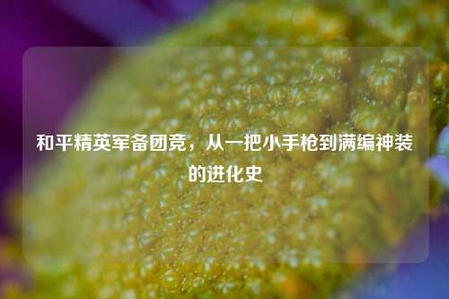 和平精英军备团竞,从一把小手枪到满编神装的进化史