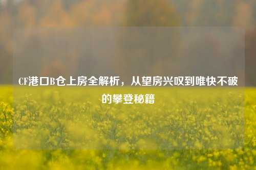 CF港口B仓上房全解析,从望房兴叹到唯快不破的攀登秘籍
