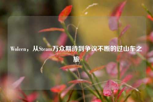 Wolcen,从Steam万众期待到争议不断的过山车之旅