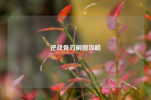 逆战骨刃刷图攻略