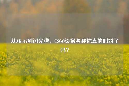 从AK-47到闪光弹,CSGO设备名称你真的叫对了吗?