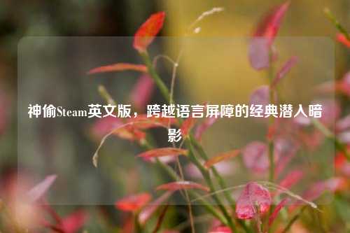 神偷Steam英文版,跨越语言屏障的经典潜入暗影