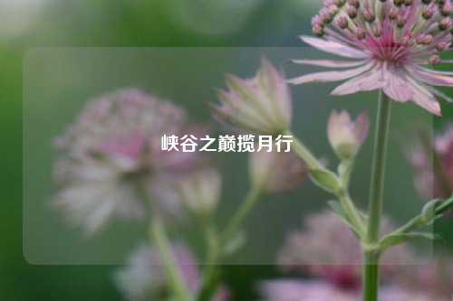 峡谷之巅揽月行