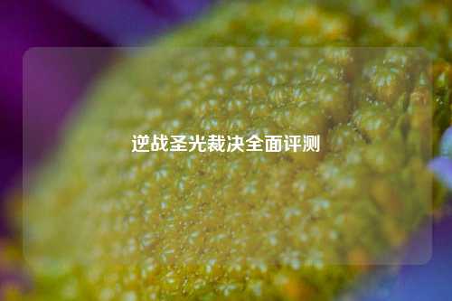 逆战圣光裁决全面评测