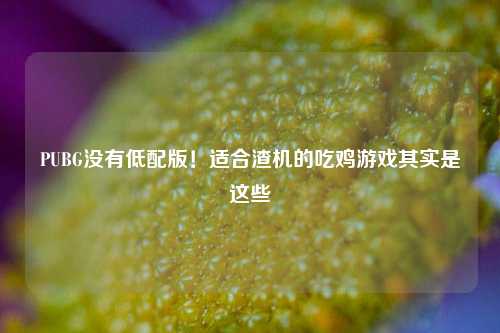 PUBG没有低配版!适合渣机的吃鸡游戏其实是这些