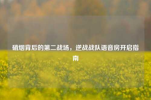 硝烟背后的第二战场,逆战战队语音房开启指南