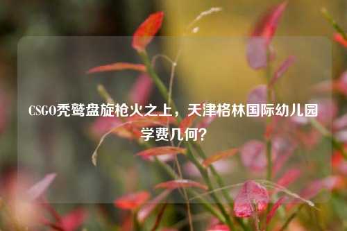 CSGO秃鹫盘旋枪火之上,天津格林国际幼儿园学费几何?