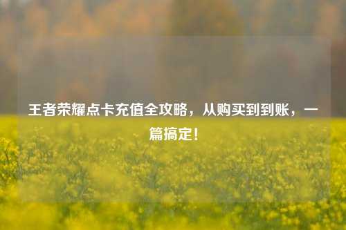 王者荣耀点卡充值全攻略,从购买到到账,一篇搞定!