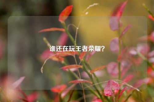 谁还在玩王者荣耀?
