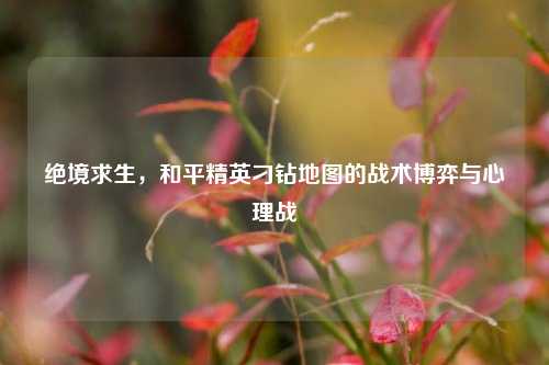 绝境求生,和平精英刁钻地图的战术博弈与心理战