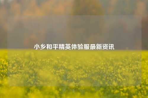 小乡和平精英体验服最新资讯