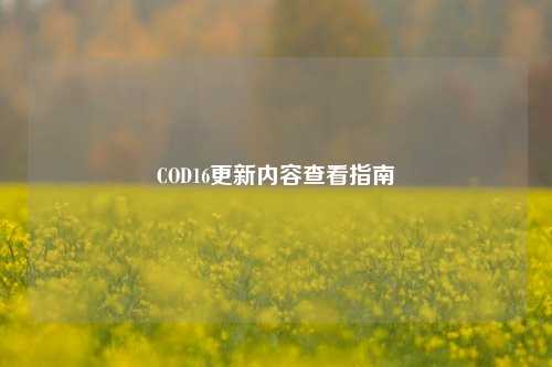COD16更新内容查看指南