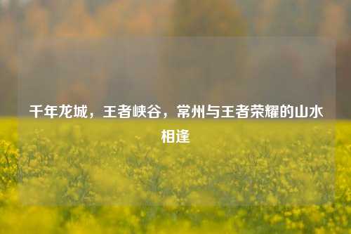 千年龙城,王者峡谷,常州与王者荣耀的山水相逢