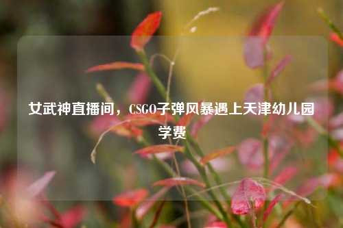 女武神直播间,CSGO子弹风暴遇上天津幼儿园学费