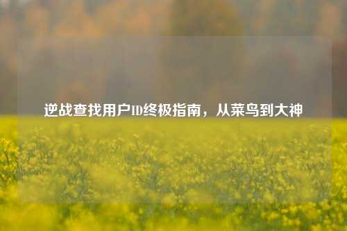 逆战查找用户ID终极指南,从菜鸟到大神
