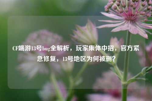 CF端游13号bug全解析,玩家集体中招,官方紧急修复,13号地区为何被删?
