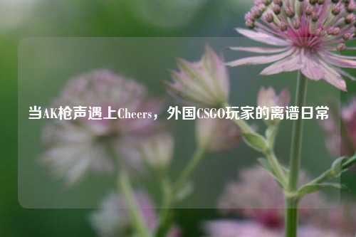 当AK枪声遇上Cheers,外国CSGO玩家的离谱日常